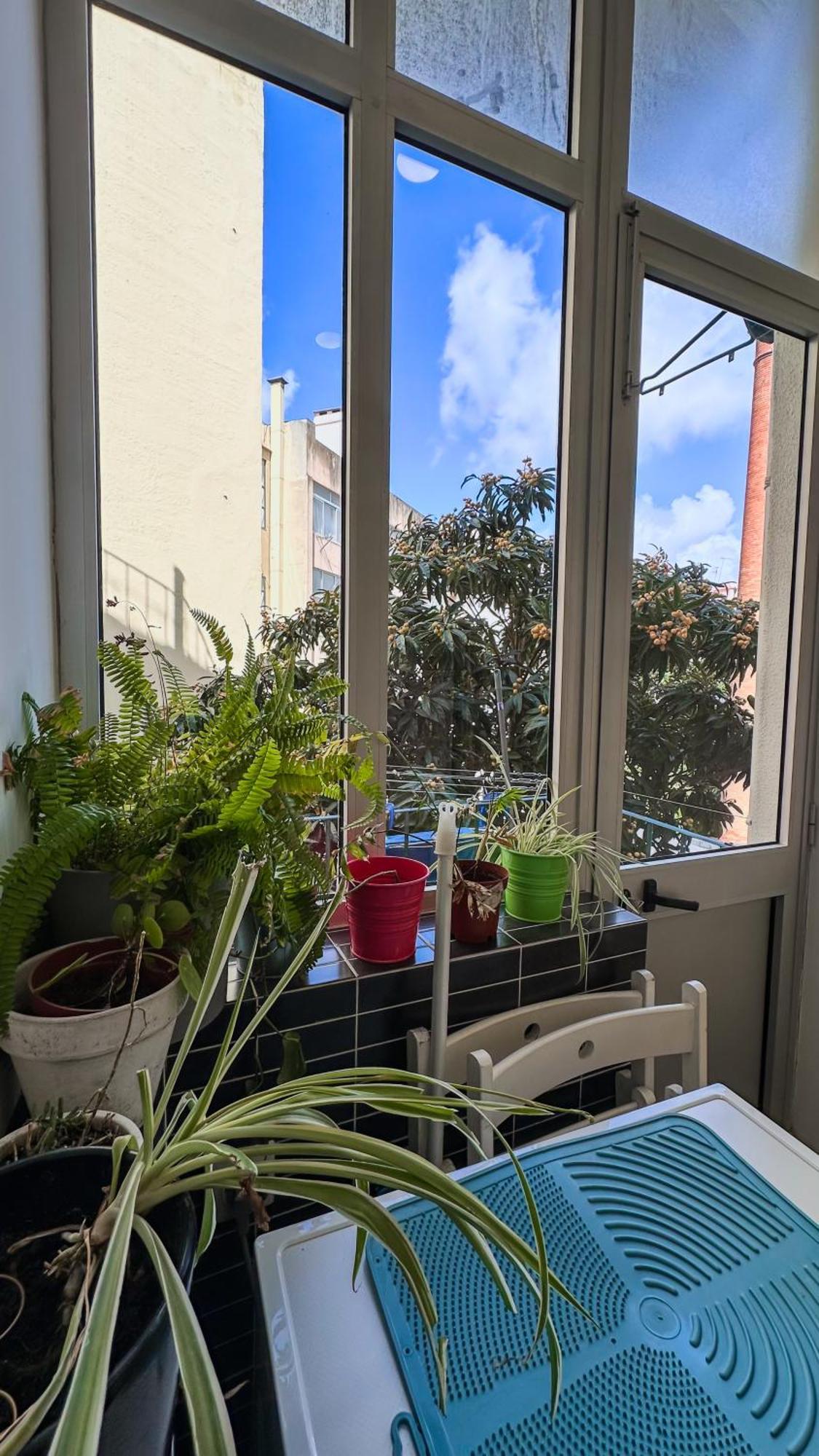 Anjos Signature Decoration Big House In Downtown リスボン エクステリア 写真